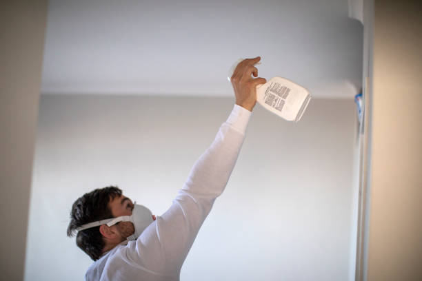 Best Professional Mold Removal  in Nellysford, VA