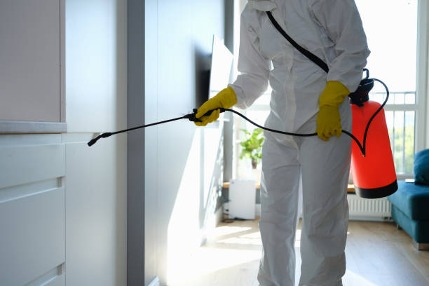 Best Crawl Space Mold Removal  in Nellysford, VA