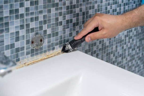 Best Mold Cleaning Services  in Nellysford, VA