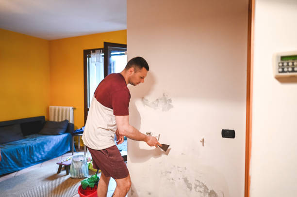Office Mold Removal Services in Nellysford, VA