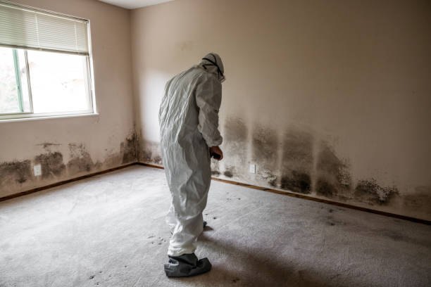 Best Mold Testing  in Nellysford, VA